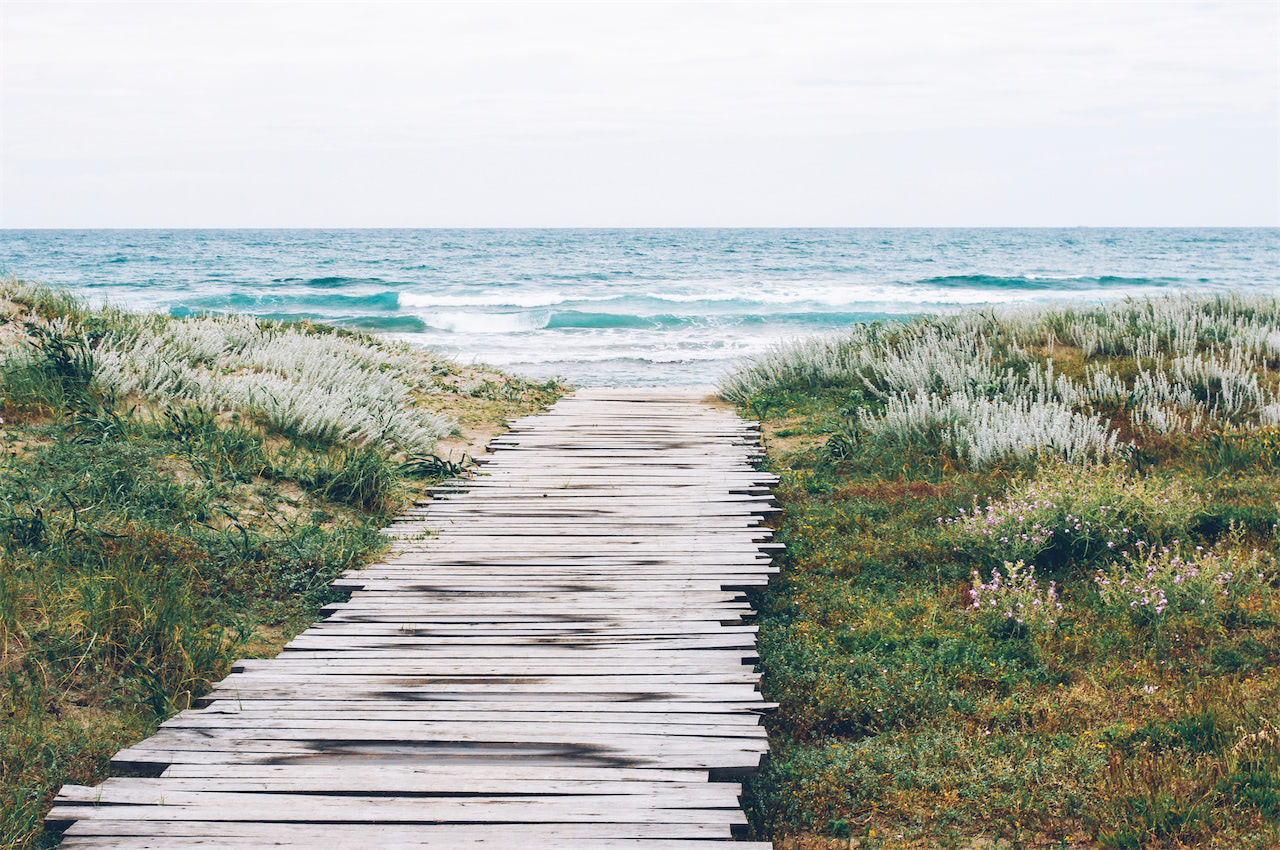 Path to the ocean-opt